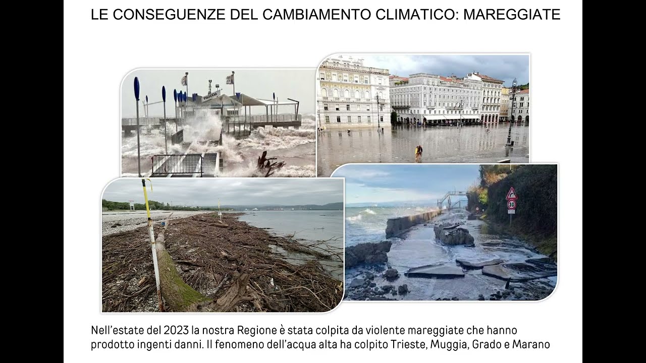 AUDIOGUIDA | SOS Pianeta Terra: La crisi climatica in mostra