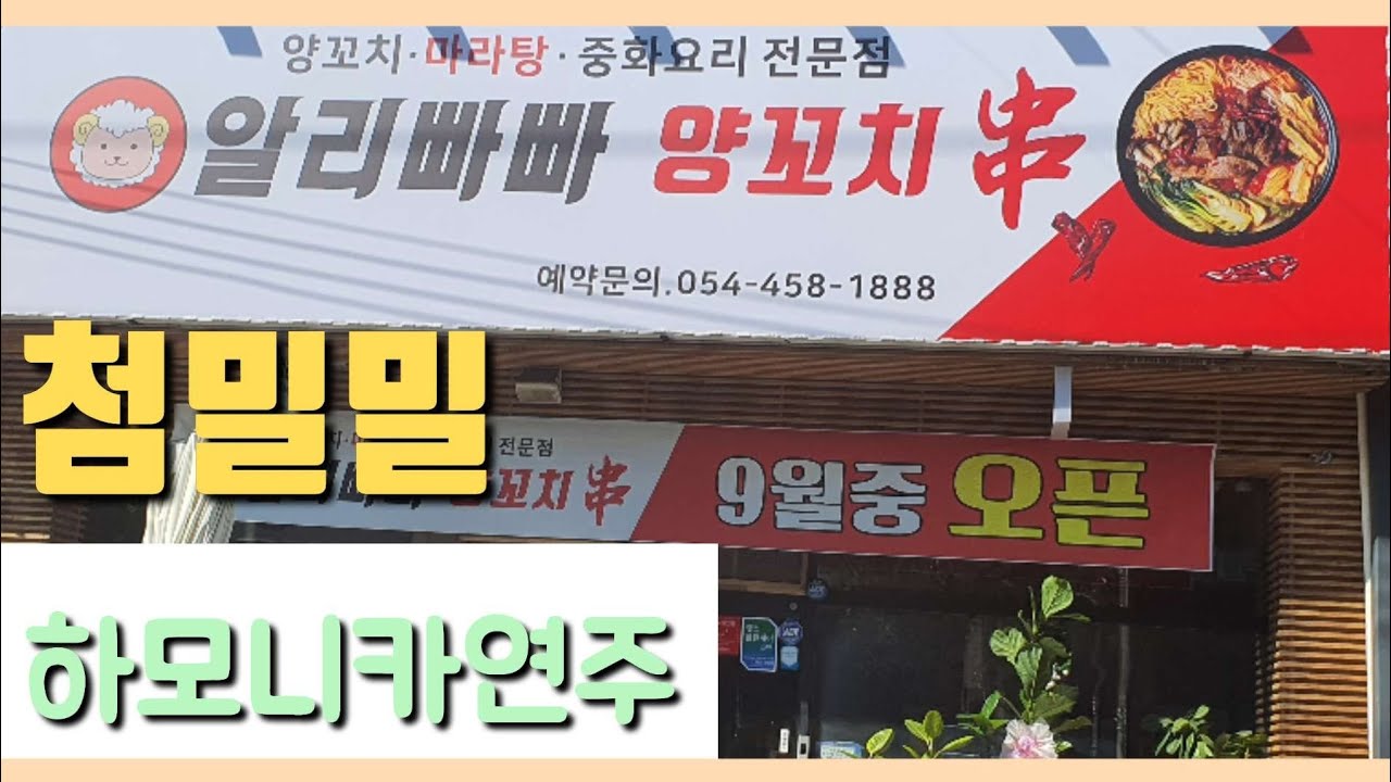 첨밀밀(등려군)하모니카연주C# 손님 몰려서 난리날집(구미 알라빠빠)甜蜜蜜The house will be a mess with customers (Gumishi alipapapa)