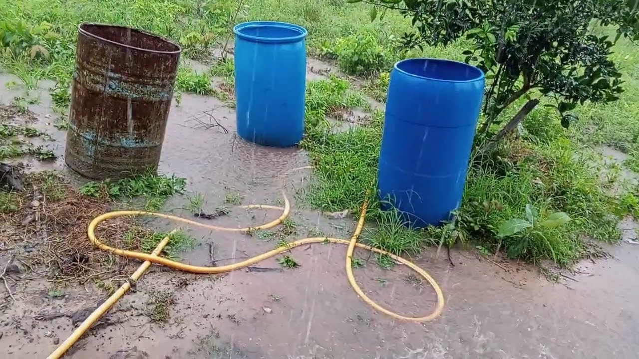 La pluie en Casamance.