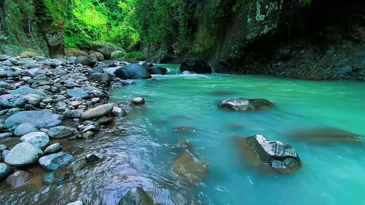 Mountain Stream Gentle Water Sounds, Forest River, Sleeping