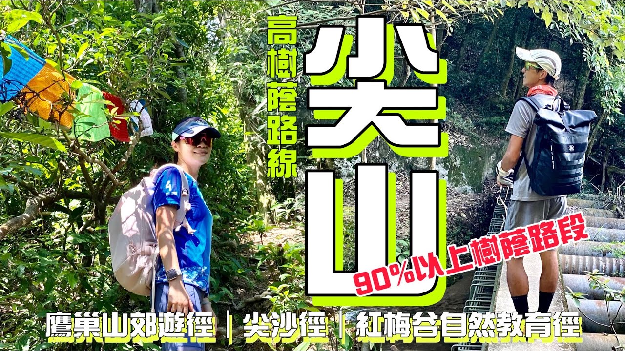 高樹蔭交通方便短途路線-尖山[香港行山郊遊好去處]4K 90%高樹蔭路段 唔算難但再易啲都仲得｜鷹巢山郊遊徑 尖山 尖沙徑 紅梅谷自然教育徑｜九龍路線|Moral Bag評價|Feat. MORAL
