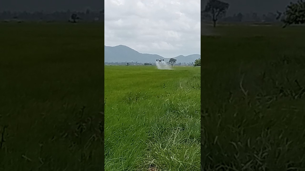 drone sprayer grass #parrotdrone #drone #spray