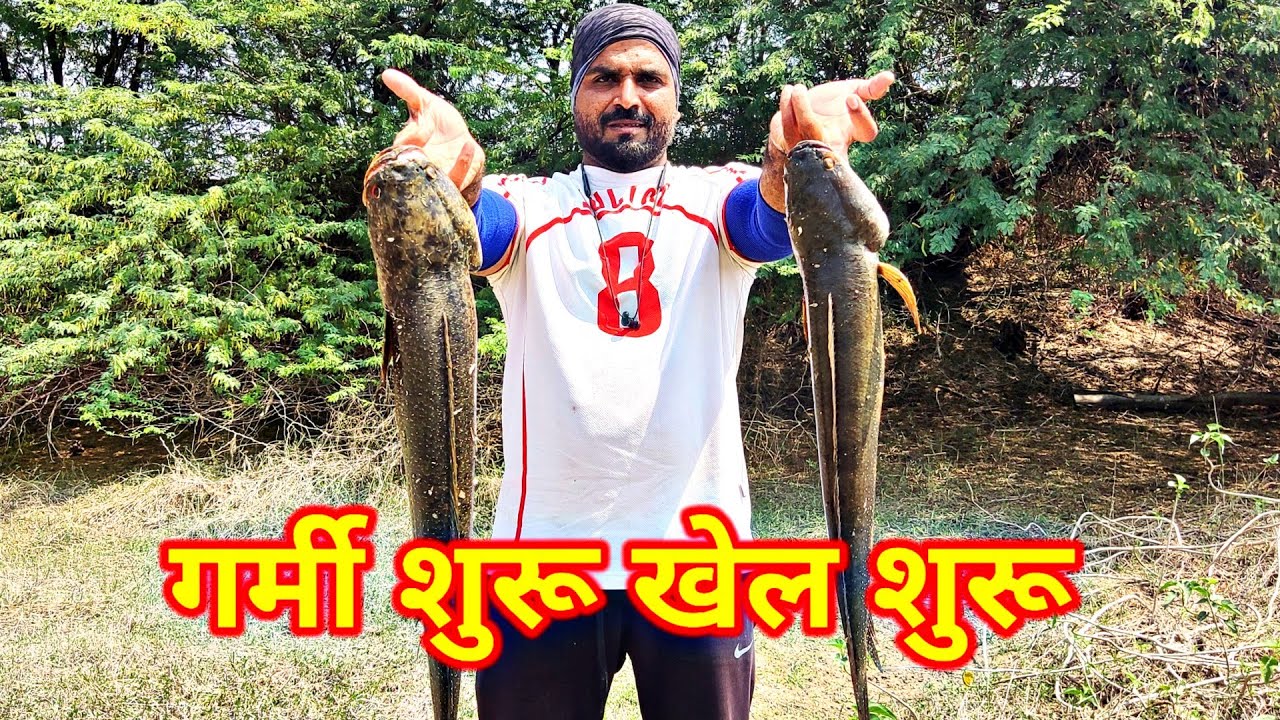 गर्मी शुरू मरल लगना शुरु,snakehead fishing🎣, lure 🐸frog fishing,maral machli