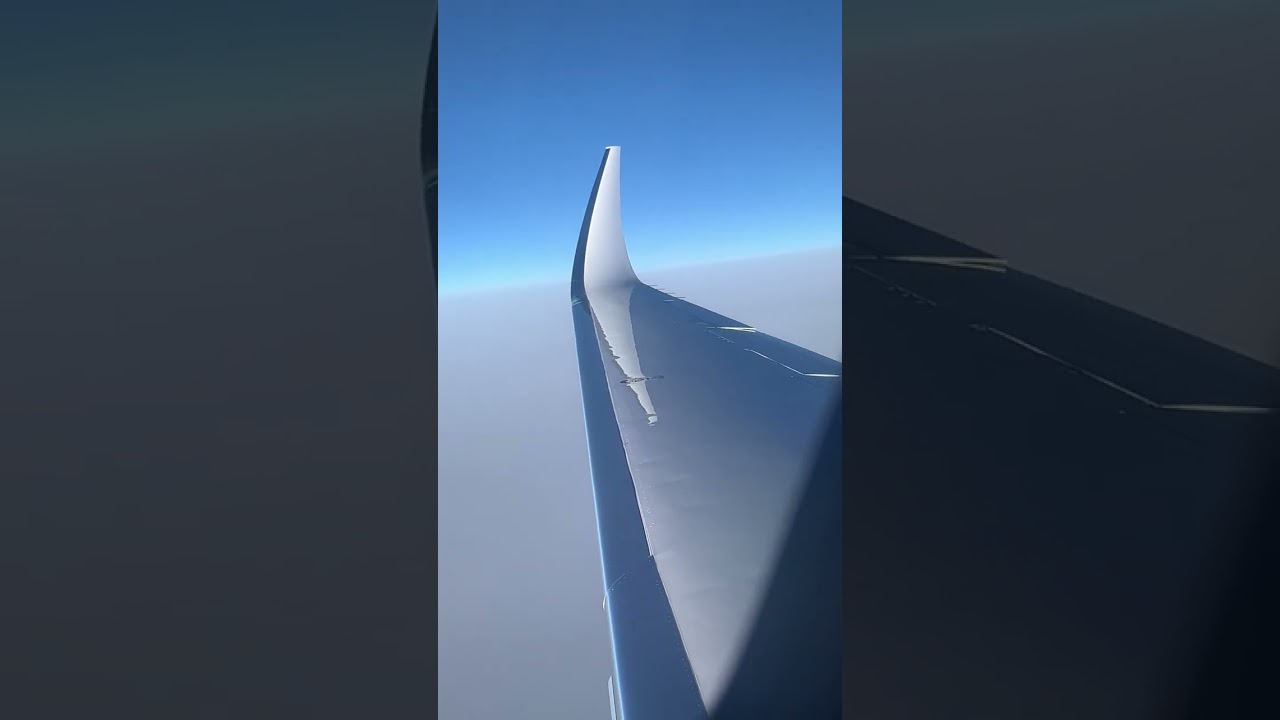 Citation X+ Wing flex in Turbulence