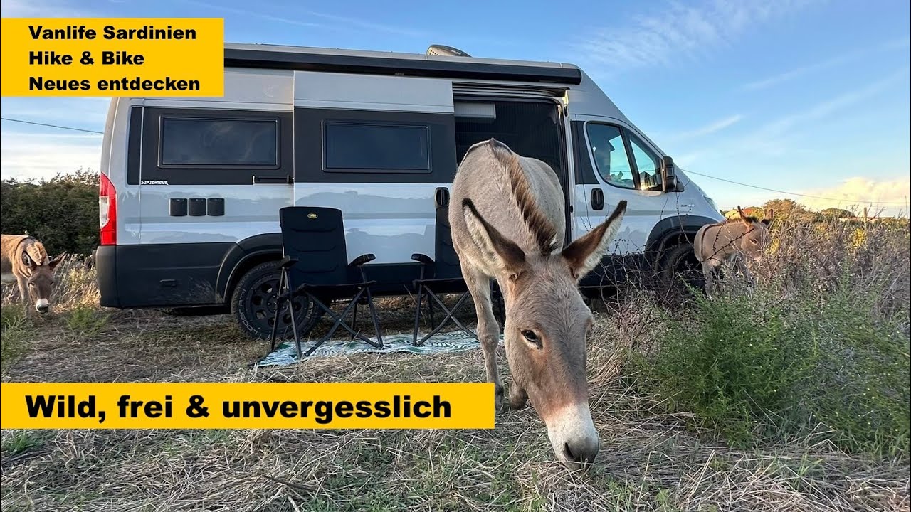 Wild, frei & unvergesslich / Vanlife Sardinien / Entdecken wir Neues?