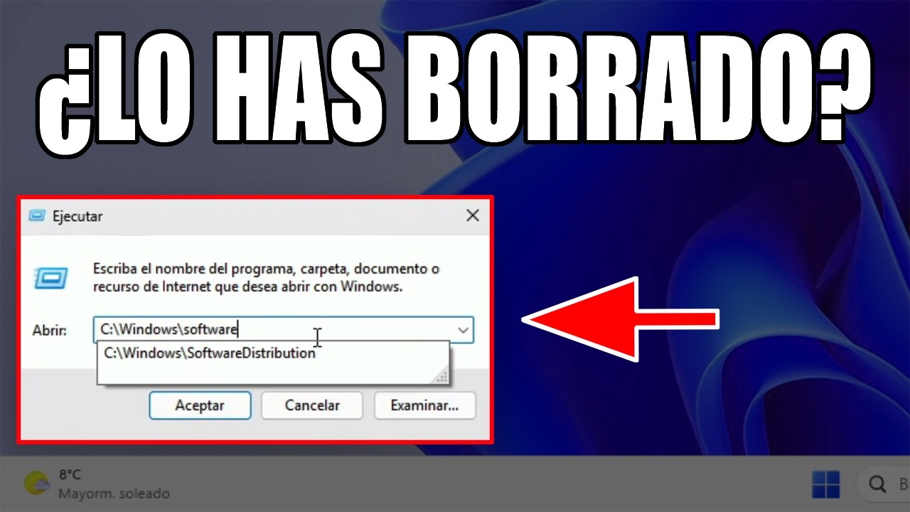¡ELIMINA el contenido de estas carpetas!