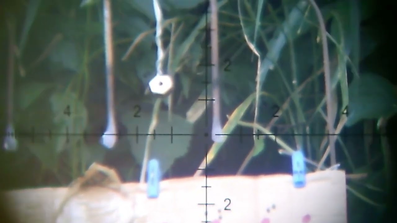 50 meters accuracy test Kay GCMAG 