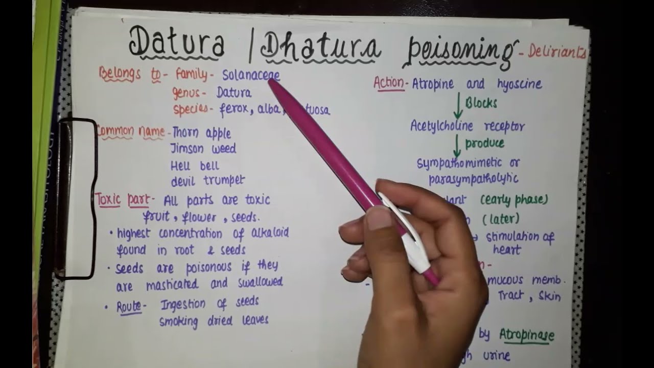 Datura poisoning - deliriant poisoning || forensic medicine & toxicology