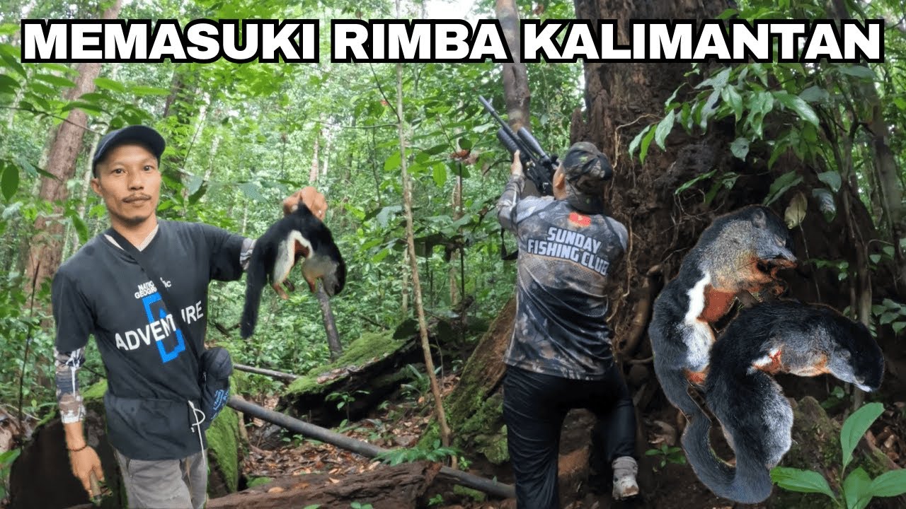 CAMPING 2 HARI BERTUALANG BERBURU DI RIMBA KALIMANTAN