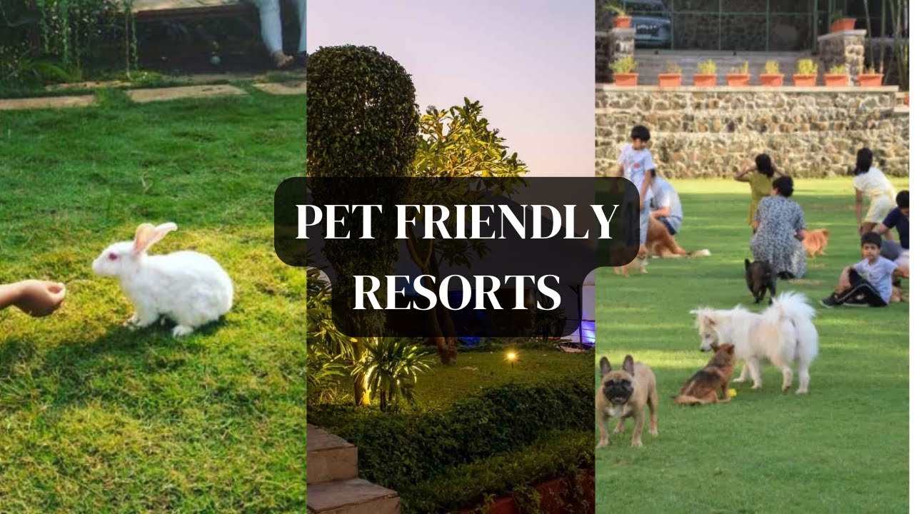 4 Best Pet Friendly Resorts Near Mumbai | Your Pet Deserves This!