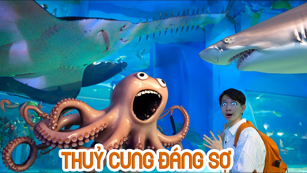 Đi Thăm Thuỷ Cung Siêu To Khổng Lồ Nhất Đông Nam Á