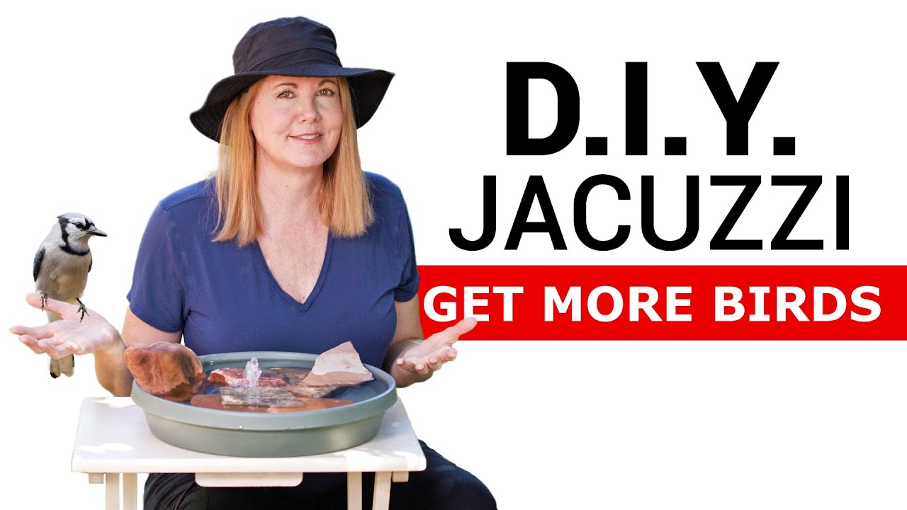 DIY Bird Bath “Jacuzzi” Fountain - The Easiest Way to Attract More Birds
