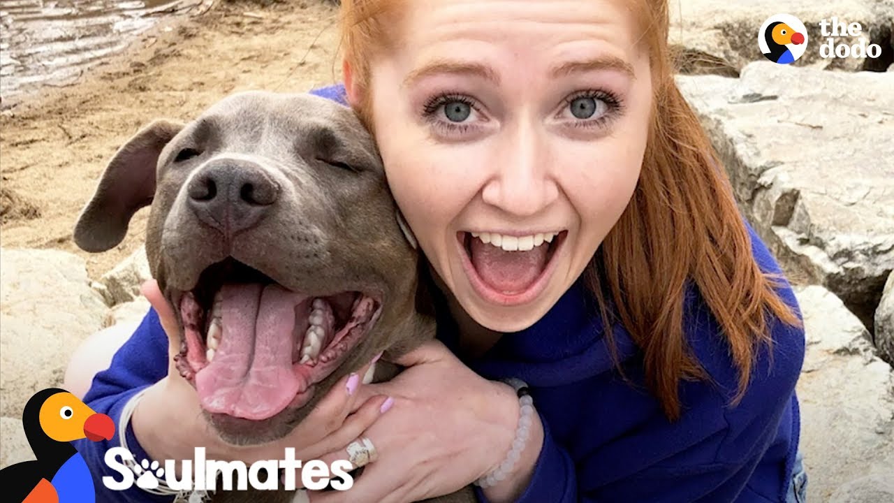Sick Girl Meets Dog Who Completely Changes Her Life | The Dodo Soulmates