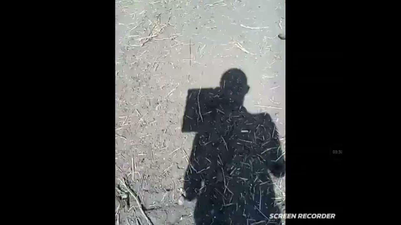 Parte 1: Fui a la Milpa y salió todo bien.