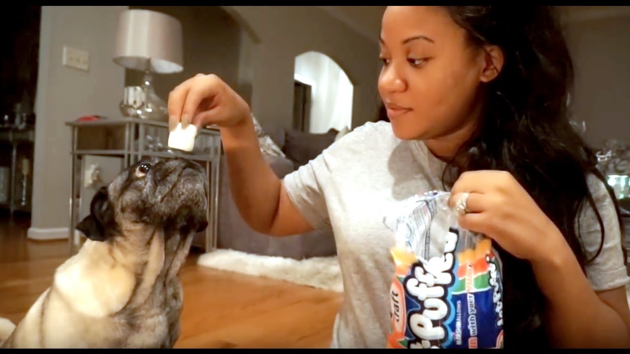 Fashion Nova Unboxing + Making S'mores!! | #VLOGMAS 6, 2016