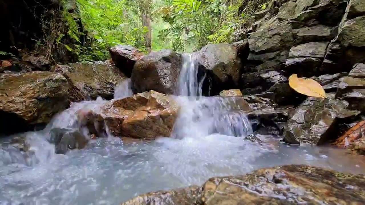 1 Hour Natural River Sound | Relaxing Water Flow for Sleep & Stress Relief 🌿
