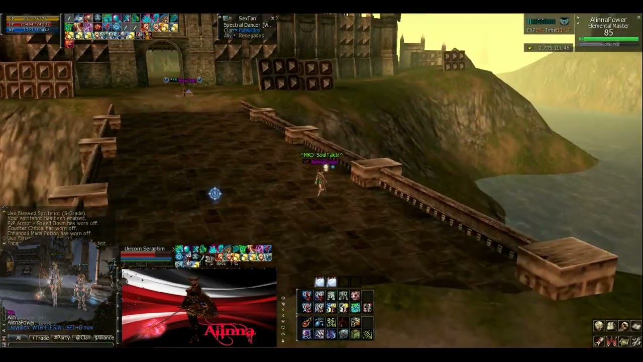 L2 Dragon Network PvP Vs PetsAndBots  Enjoy With Us ^ AlinnaPower^