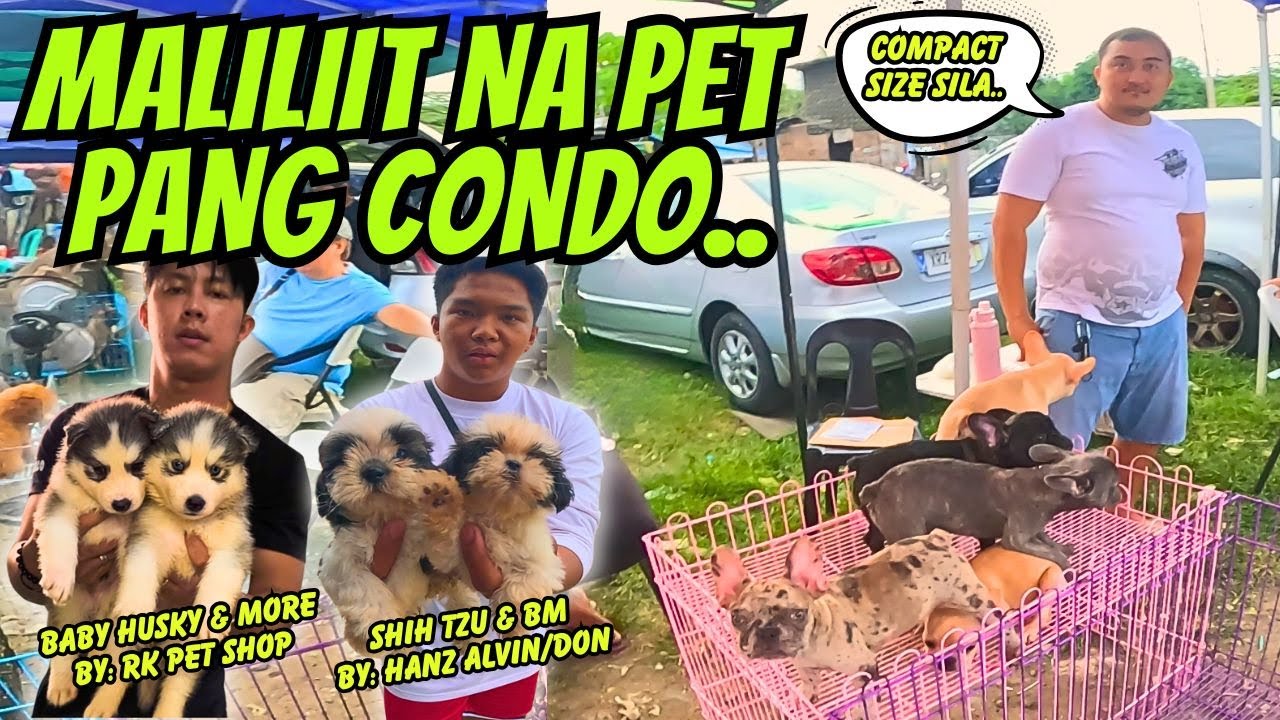 LAGING MAY BAGONG MAKIKITA DITO.. MERON DING MGA LIVE STOCK..