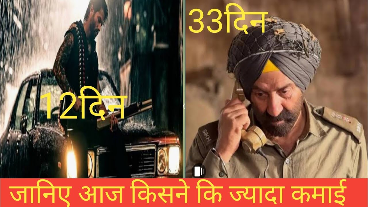 Border 2 Box office collection / O Romeo box office / mardangi 3 / Tere Naam Re release collection 