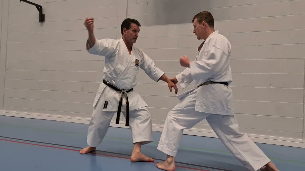 Guy Brodeur 7th Dan - Options in Bunkai