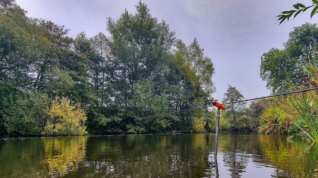 Trout fishing on the river Derwent