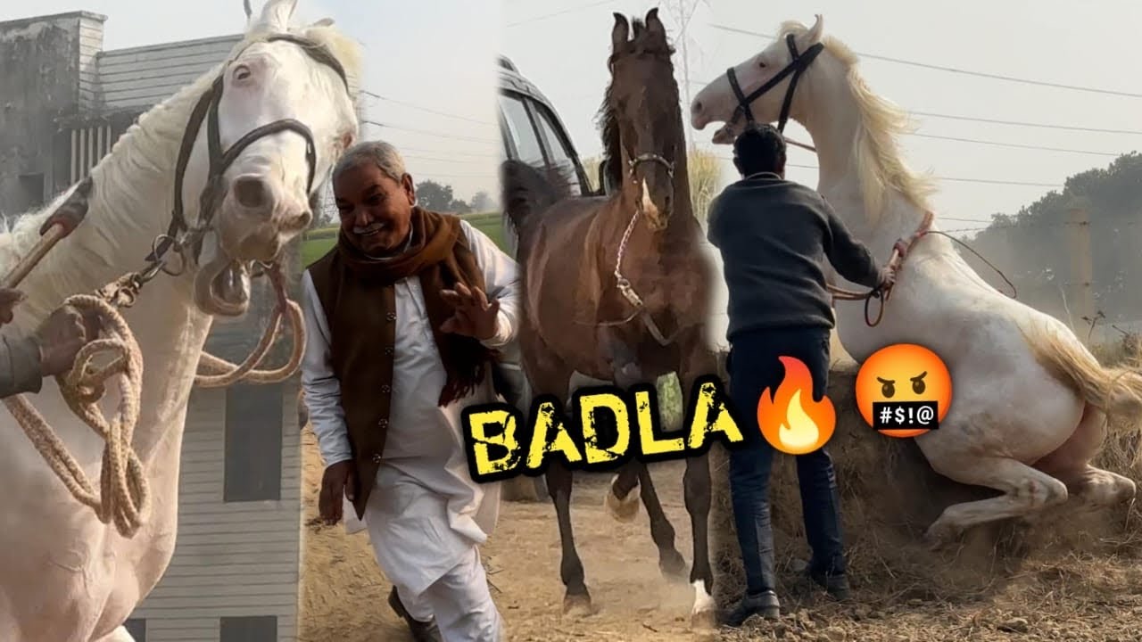 Captain Gusse Mai Chairman Sahab Pr Chadd Raha Tha 😨Fir Badla Lene Ke liye Abhiraj Aaya 🔥😡Or Fir ?