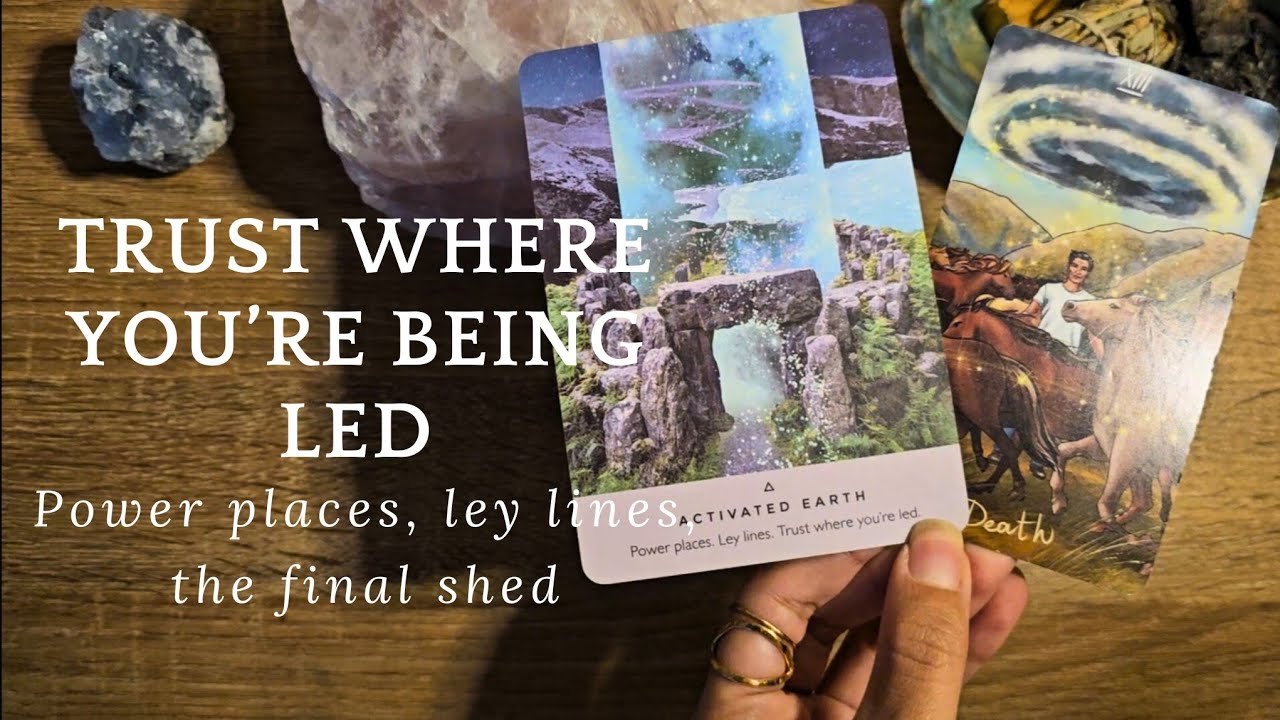 Trusting where you're being led // the final shed 𓆗