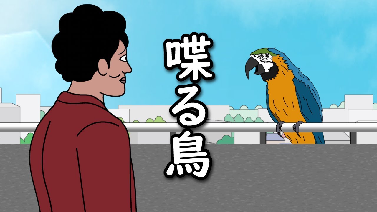 【アニメ】自宅ベランダに喋る鳥とまってたやつｗｗｗｗｗｗｗｗｗｗｗｗｗｗ