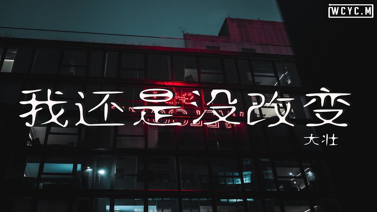 大壮 - 我还是没改变【動態歌詞/Lyrics Video】
