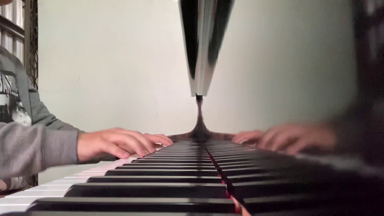 《Dolphin in Town》Piano cover by PianoCheng