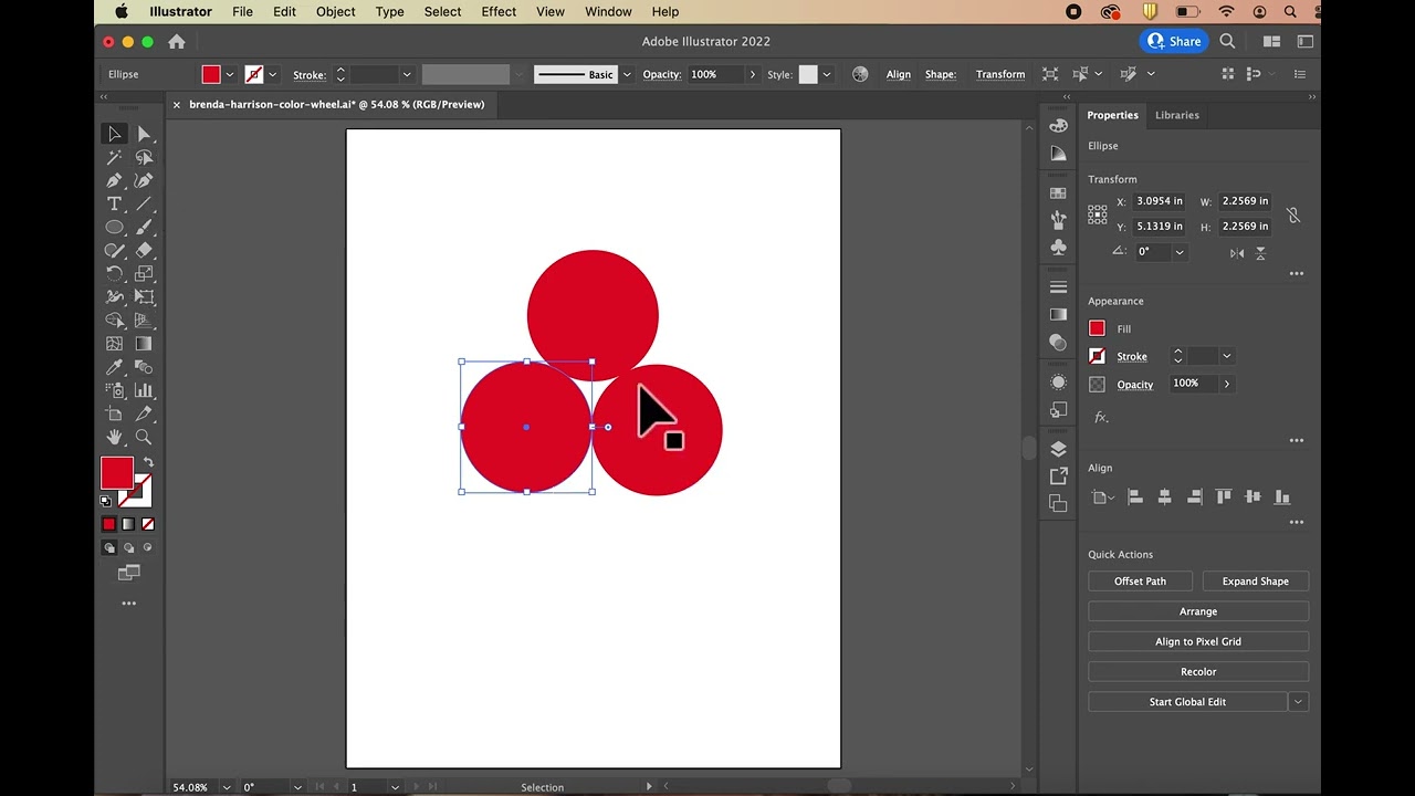 Basic Illustrator and Color Wheel