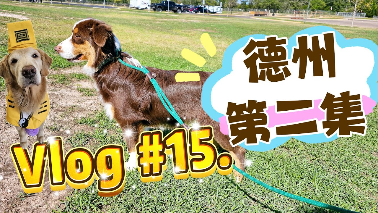 Vlog #15 美國德州旅遊 第二集 