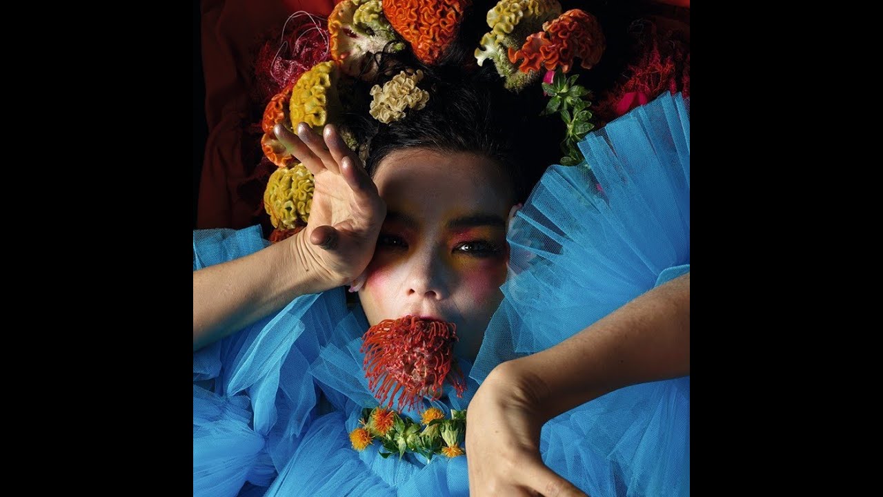 [FREE] BJORK X MITSKI TYPE BEAT 2023 - 