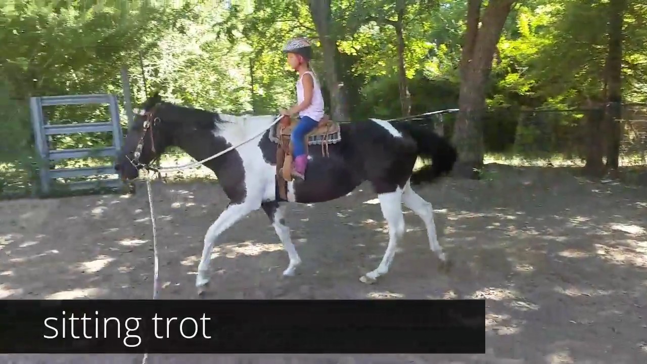 Youth Riding lessons - Trotting exercises and first canter for a 7 year old student