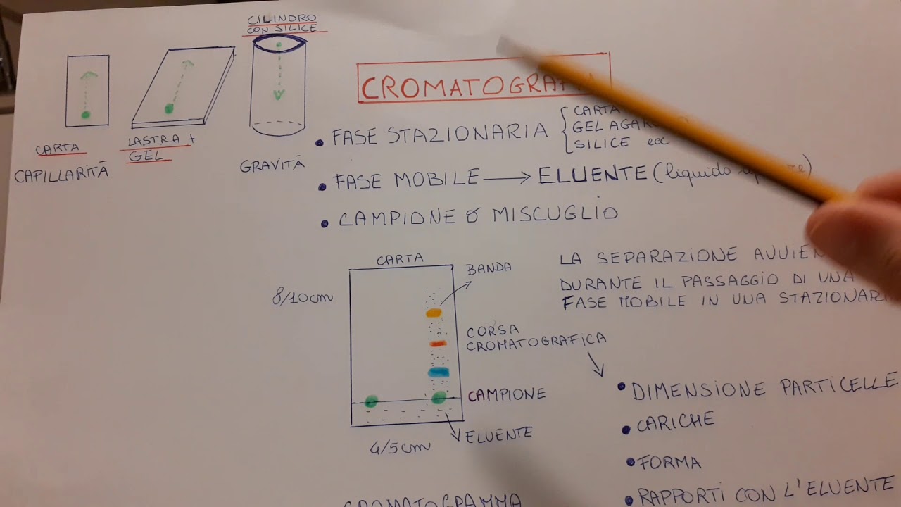 Cromatografia