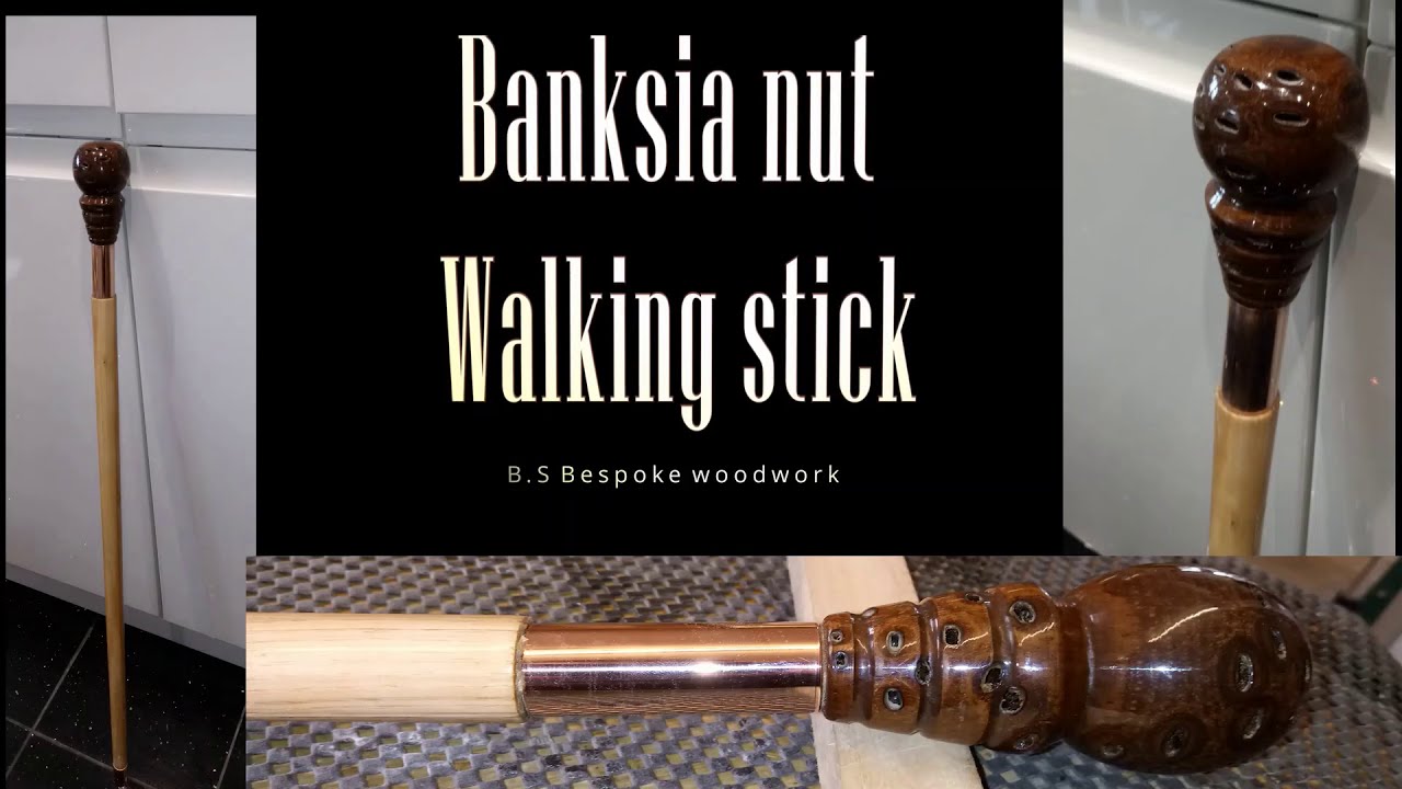 Banksia nut walking stick