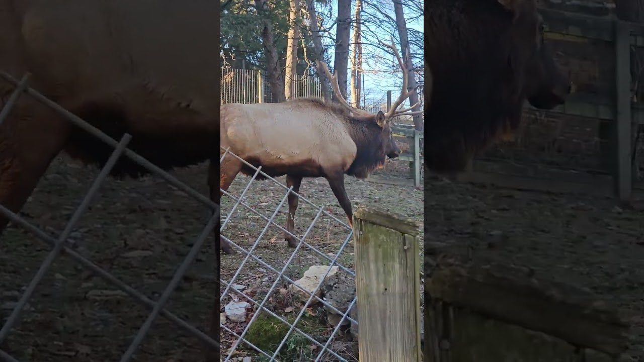 At the zoo