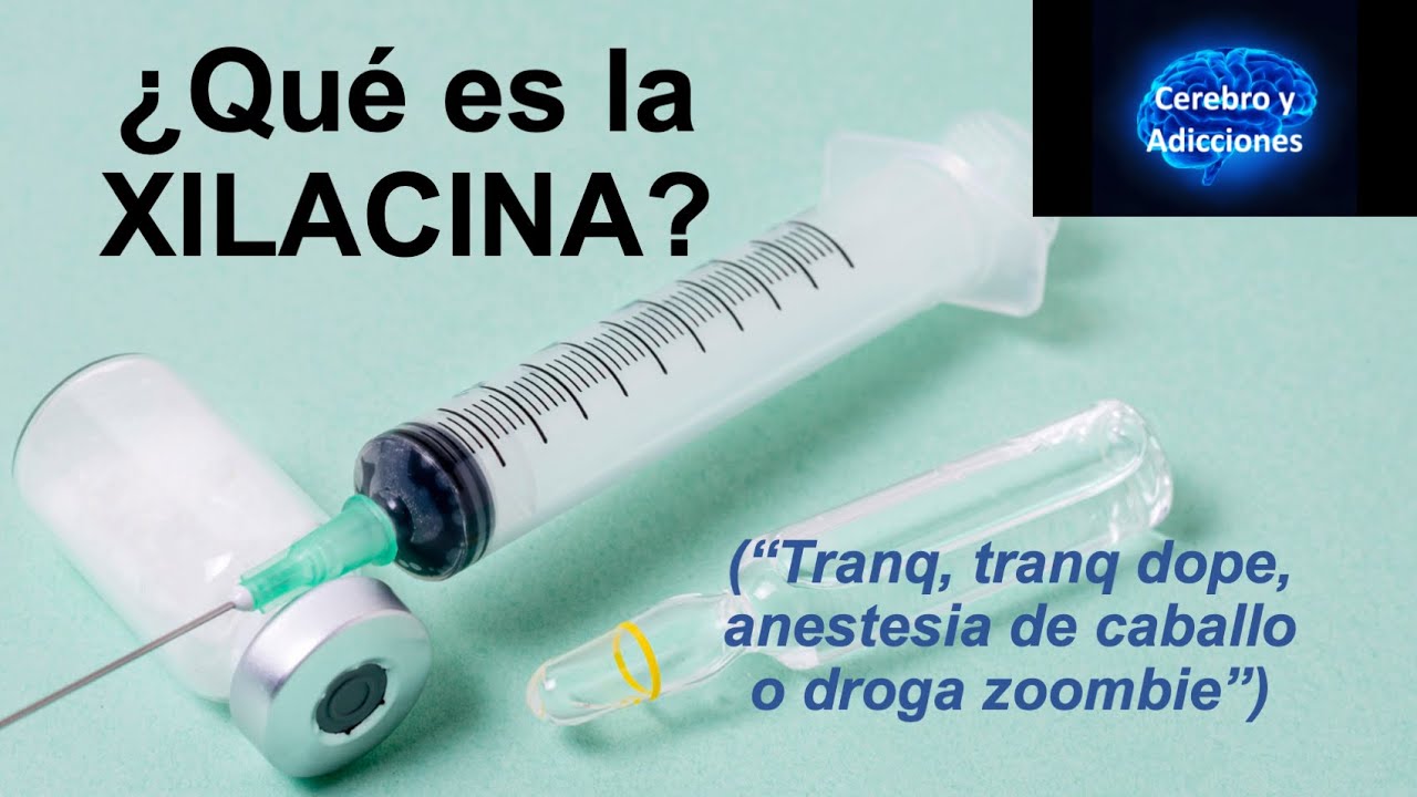 &iquest;Qu&eacute; es la Xilacina? 