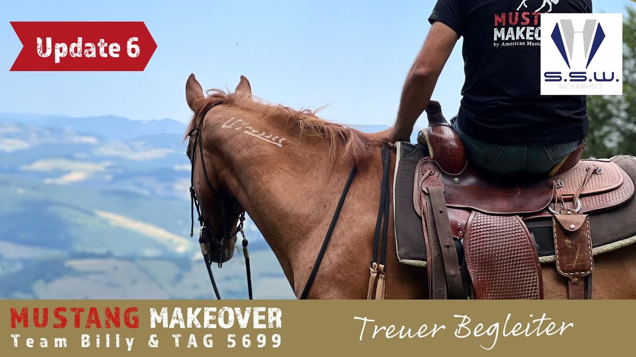 Ein Mustang auf dem Weg zum besten Freund❤️ - Team Billy | Mustang Makeover 2023