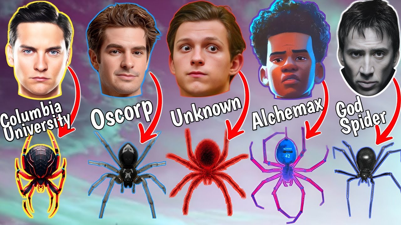 Strongest Spider Bites of MCU Explained in 9 Minutes.