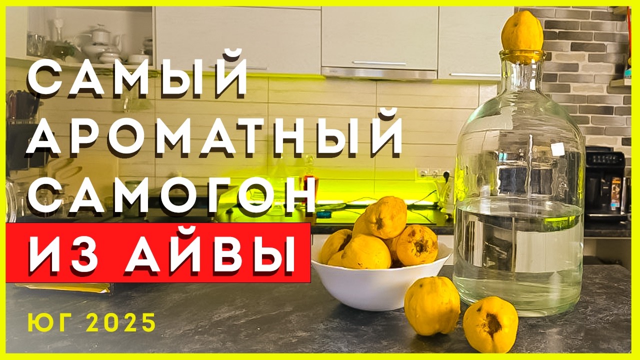 Самый ароматный южный самогон из айвы | от А до Я