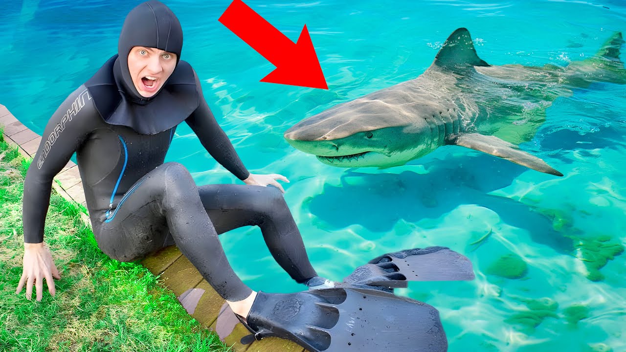 Don’t go in the water!