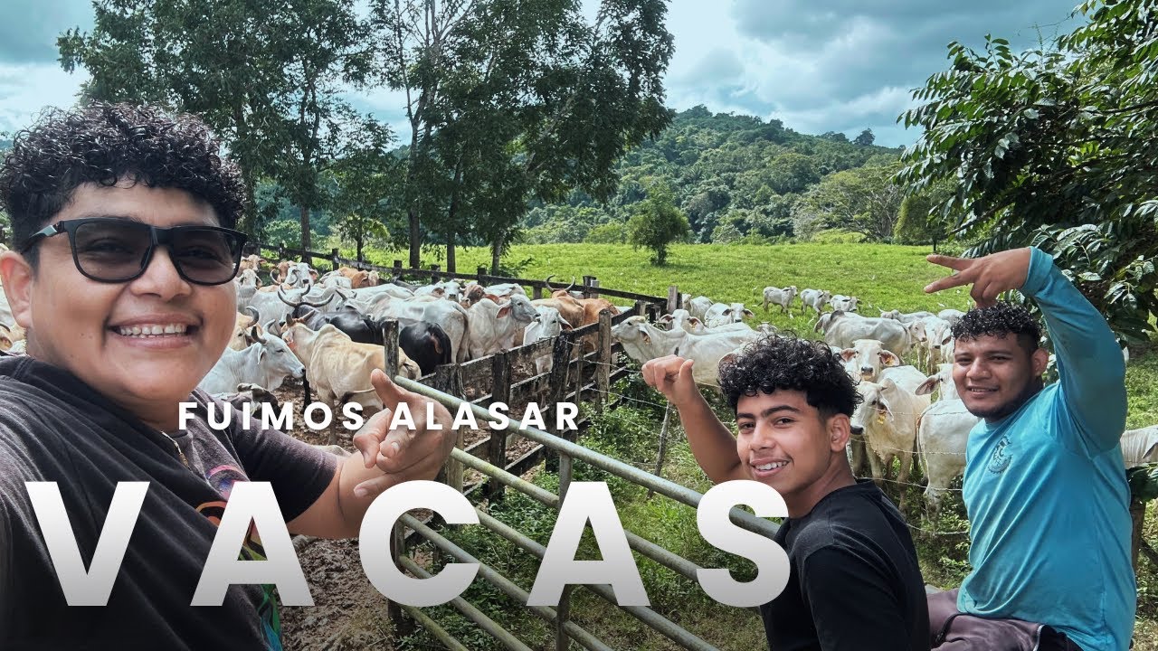 Nos fuimos a fregar… ¡A alazar  vacas en el rancho! 🐂💪”