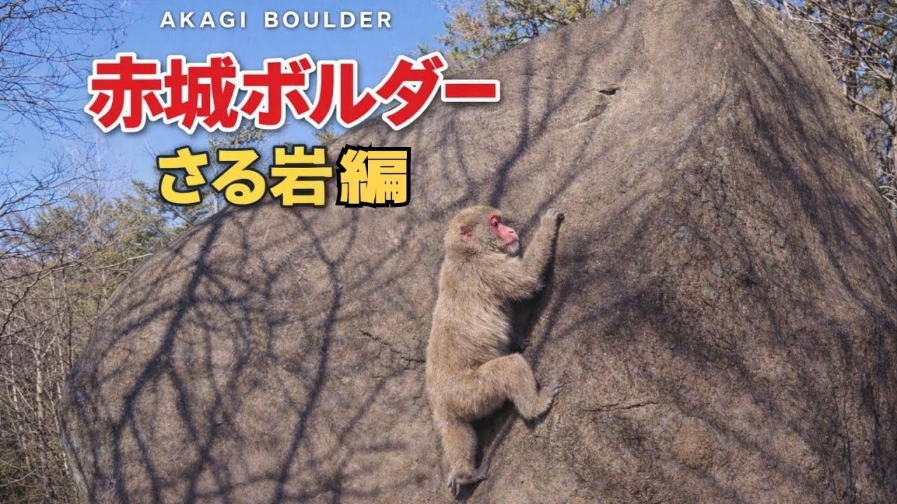 赤城ボルダー　猿岩【９級〜２段】おさるのジョージで埋め尽くす　ブラキエーション　