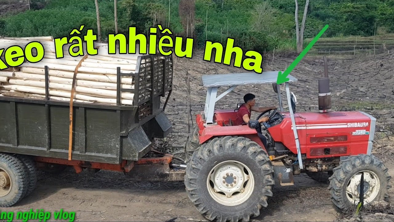 SHIBUARA SE 7340 chợ gỗ keo rất khỏe (phần 1)