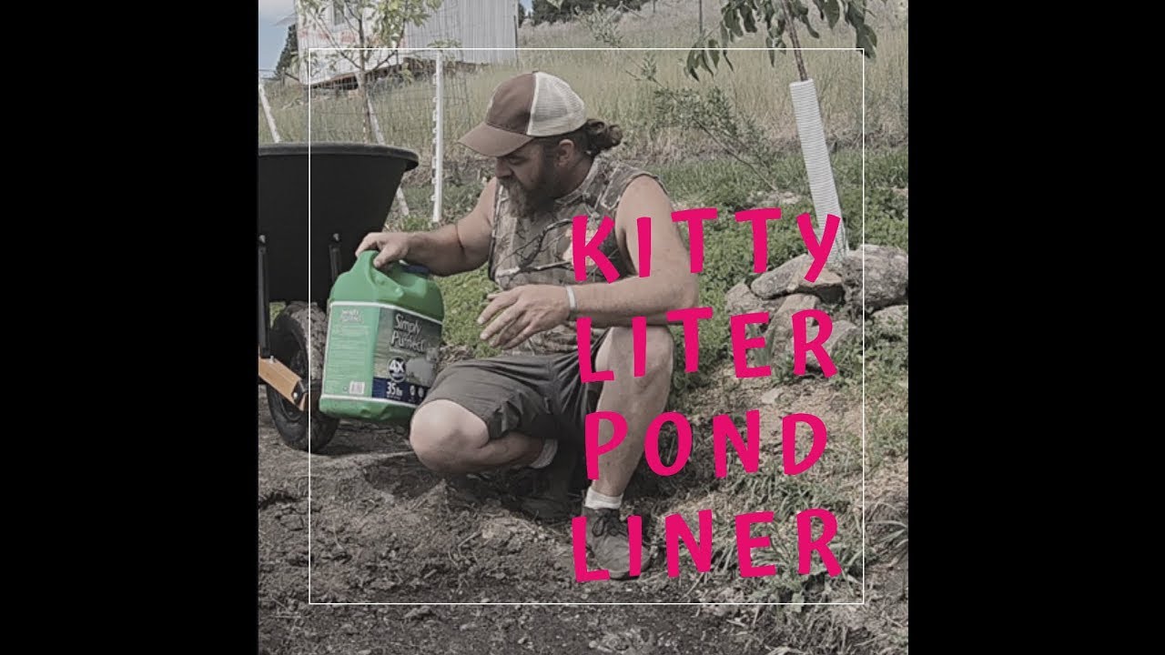 Building a Pond with Kitty Litter