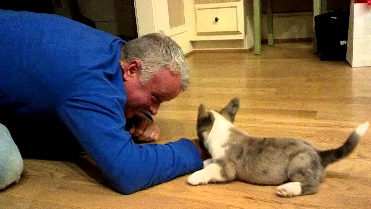 Daddy playing with ollie!!