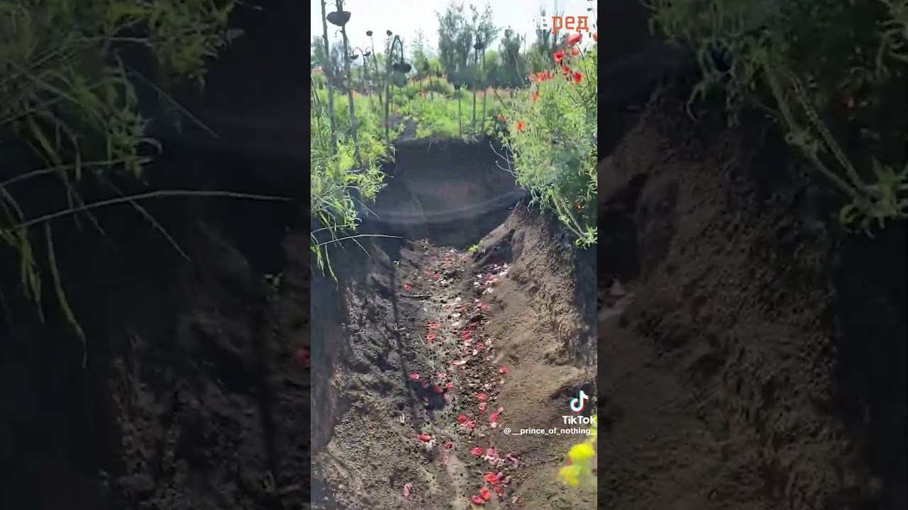 Украинские окопы в маках