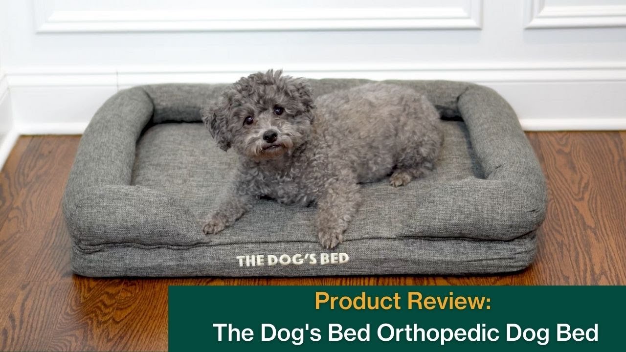 The Dog's Bed Orthopedic Dog Bed (2022 Review)