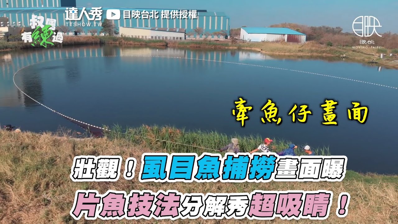 【壯觀！虱目魚捕撈畫面曝 片魚技法分解秀超吸睛！】｜@movingtaipei